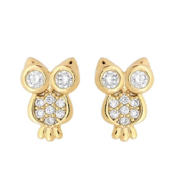 Imagem de Brinco coruja com pedras strass - 0523458