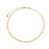 Imagem de Corrente choker com chapas redonda - 0305207