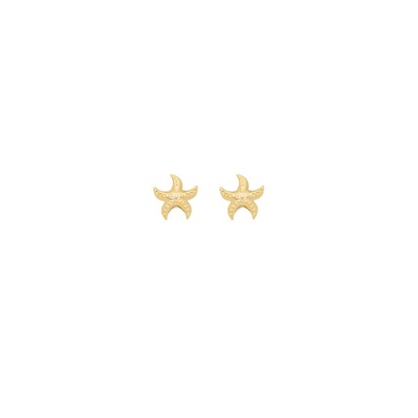 Imagem de Brinco estrela do mar - 0527874 -