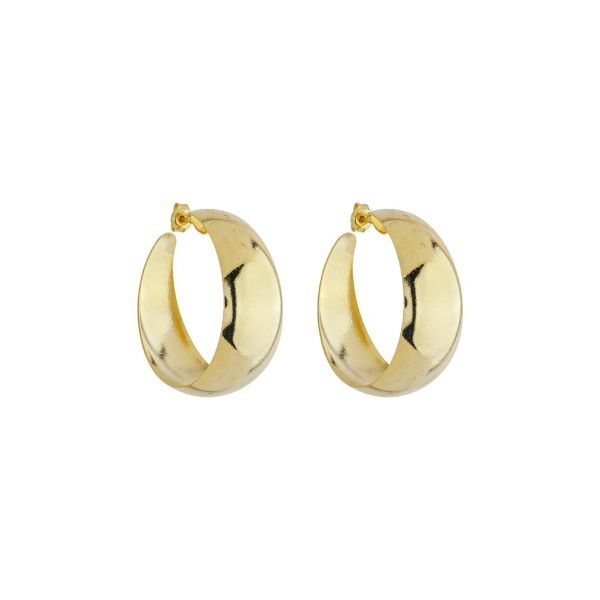 Imagem de Brinco argola chapa 15mm - 0526361
