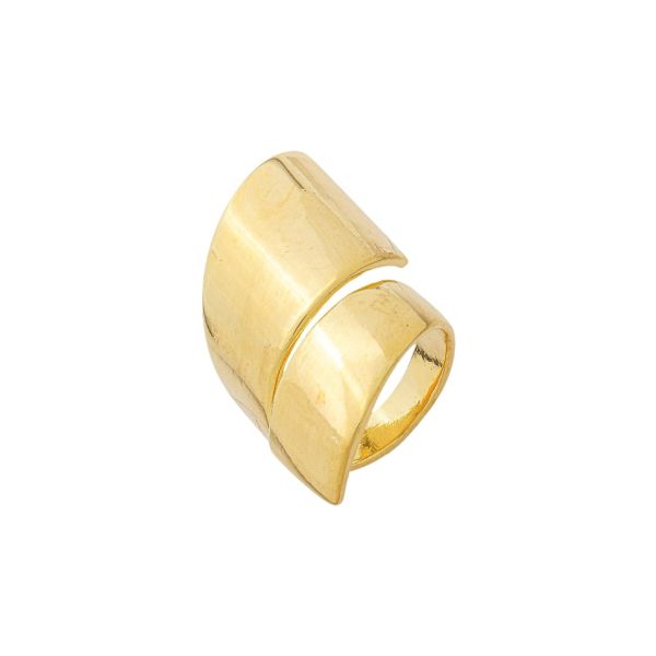 Imagem de Anel orgânico liso - 0107621