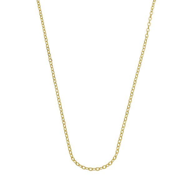 Imagem de Corrente cadeado; 50cm - 0306963